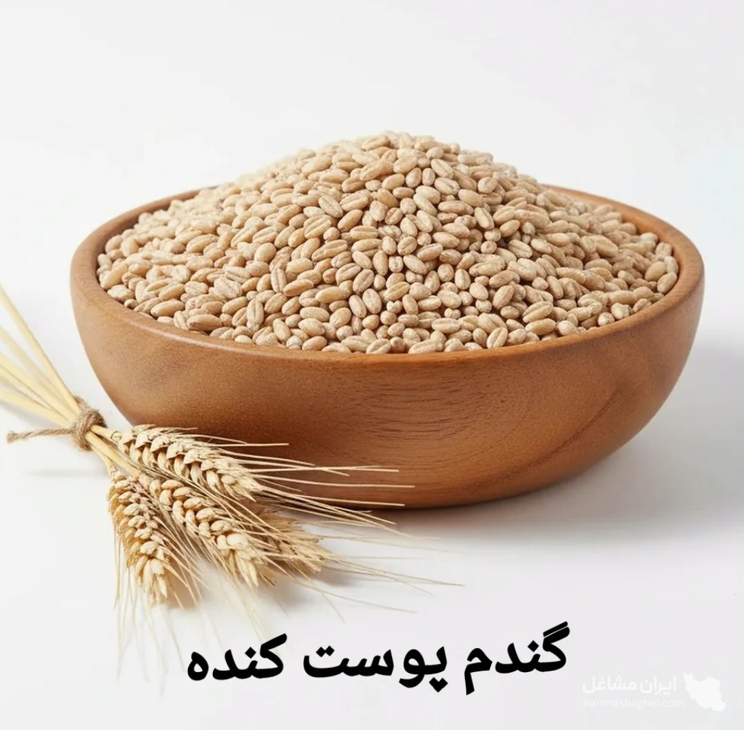 تولید و فرآوری آرد جو نیم سبوس دشت آسمان در اصفهان